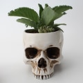Miniatyrbillede 3 af 5: 1 stk. Kranie-skrivebords-planter kreativ hjemhaveåndbar