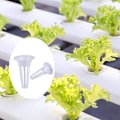 Miniatyrbillede 3 af 5: Hydroponisk Plantevækstkurv Jordløs Dyrkningsnet