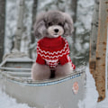 Miniatyrbillede 3 af 5: Hund Juletrøje, Hund Vinterfrakke, Hund Juletrøje (M