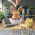 Miniatyrbild 1 av 5: Akryl Platt Hängande Ornament Påskhare Hängande Ornament C