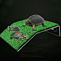 Miniatyrbillede 3 af 4: Skildpadde solbadningsplatform, græsskildpadde rampe til skildpaddetank, reptil