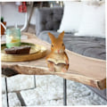 Miniatyrbilde 3 av 5: Figurer Hage Statuer, Kanin Harpiks Ornamenter Hage Simulering