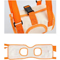 Pikkukuva 4 / 5: Oranssi koiran apuväline (M vyötärö 35-45cm, jalka 24cm), verkko koiran li