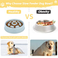Miniatyrbild 4 av 5: Långsam matningsskål för hundar Anti Glutton Cat Slow Feeding Bowl Non