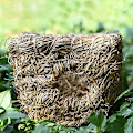 Miniatyrbilde 5 av 5: Gress tunneler for hamster gjemmesteder, hamster tunneler, natura