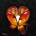 Miniatyrbilde 3 av 5: Solcelleblomstlampe, Lilla