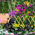 Pikkukuva 3 / 5: Kissa Piha Taide Puutarha Metalli Patsaat Deco, 3 KPL Kissa Ontto Ulos Sil