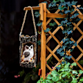 Miniatyrbillede 5 af 5: Solcelledrevne ugleformede hængende havebelysning - Vandtæt lampe med H