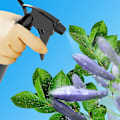 Miniatyrbild 4 av 4: 500ML Plast Tom Sprayflaska Triggerpump Sprayflaska för