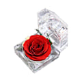 Miniatyrbild 1 av 6: Äkta rosor permanent förvarade i mini transparent ringbox, årsdag, Alla hjärtans dag, jul, födelsedagspresenter (röd)
