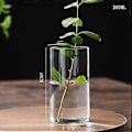 Miniatyrbild 3 av 3: Klar Glasvas Blomvas Minimalistisk Glasvas Cylinderformad Blomvas för Bröllop Vardagsrum Dekorativ Gåva 5.5x10cm