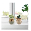 Miniatyrbild 4 av 5: 6 stycken suckulenta krukor mini uggla keramisk blomkruka kruka