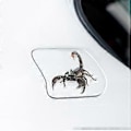 Miniatyrbilde 4 av 5: 3D Bilklistremerke Edderkopp Gekko Dyr Simulering Bil Haleklistremerke Realistisk Modifikasjon