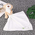 Pikkukuva 4 / 5: Baby Toy Bear Handkerchief Plush Comforter Doll Toy Soothing Towe