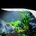 Miniatyrbillede 4 af 5: Super Slim Akvarium Fisketank LED Lys Klemme-på Lampe Vandplanter