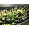 Miniatyrbillede 4 af 4: 3 stk. Akvarie Kunstig Grøn Vandplante lavet af Silke