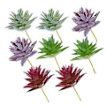 Miniatyrbillede 1 af 5: 8 stk. simulations sukkulenter blomsterhoved stort pigget lille aloe kreativt DIY-tilbehør kunstige grønne planter
