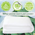 Miniatyrbillede 1 af 4: 1 stk. Nonwoven plante tæppe til varmeisolering og fugt