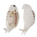 Miniatyrbillede 5 af 5: Dyr Væg Natlampe 3D LED Blødt Lys Udsøgt Resin Dyr Væglampe til Soveværelse Kontor Stue Grib