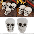 Miniatyrbillede 3 af 3: 2 stk. Halloween Kunstig Kranie Bordplade Kranie Ornament Spøgelseshus Rekvisitter Festartikler