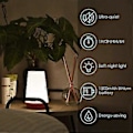 Miniatyrbillede 5 af 5: LED, Farverig Sengelampe, Berøringsfølsom Natlampe med 13 Skiftende Farver, Genopladelig Bordlampe med Varmt Hvidt Lys til Soveværelse Cou