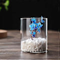 Miniatyrbild 2 av 3: Klar Glasvas Blomvas Minimalistisk Glasvas Cylinderformad Blomvas för Bröllop Vardagsrum Dekorativ Gåva 6.5x8cm