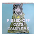 Pikkukuva 1 / 5: 2025 Pissed-Off Cats -kalenteri - Hauska kissakalenteri seinälle - Kissakalenteri 2025 - Kissakalenteri työpöydälle