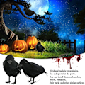 Pikkukuva 5 / 5: Halloweenin musta varis, Halloweenin variskoriste, Halloweenin musta