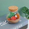 Miniatyrbillede 2 af 4: 2 stk. Forseglede Klare Terrarium Glasflasker Mikrolandskab Glas Krukke Sfærisk Økologisk Flaske
