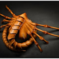 Miniatyrbillede 2 af 5: Facehugger Håndsyet Lædermaske Gyser Halloween Alien Kostume