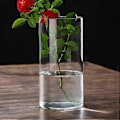 Miniatyrbild 2 av 3: Klar Glasvas Blomvas Minimalistisk Glasvas Cylinderformad Blomvas för Bröllop Vardagsrum Dekorativ Gåva 10x20cm
