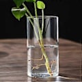 Miniatyrbild 2 av 3: Klar Glasvas Blomvas Minimalistisk Glasvas Cylinderformad Blomvas för Bröllop Vardagsrum Dekorativ Gåva 6.5x12cm