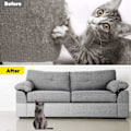 Miniatyrbild 4 av 5: Katt Soffa Skrapa Tejp Repor Plats Möbler Skydd Soffa