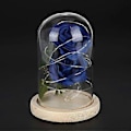 Miniatyrbillede 2 af 5: LED Kobbertråd Kunstig Rose Glas Dome Natlampe Boligindretning Fødselsdagsgave (Blå)