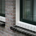 Miniatyrbild 5 av 5: Anti Pigeon 3 meter rostfritt stål 4 rader spikar