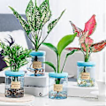 Miniatyrbillede 2 af 5: Selvvandende Plantepotter Vase Hydroponisk Beholder med Effektiv Fugtighedskontrol for Nem Vedligeholdelse og Dekoration 83 soft stopper