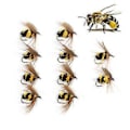 Miniatyrbilde 1 av 4: Bumble Bee Lokkemiddel Fiske Lokkemiddel Kunstig Insekt Agn Med (10 stk - 15 mm)