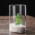 Miniatyrbild 2 av 3: Klar Glasvas Blomvas Minimalistisk Glasvas Cylinderformad Blomvas för Bröllop Vardagsrum Dekorativ Gåva 10x15cm