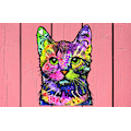 Miniatyrbild 2 av 5: 5-pack kattdekaler för bil, utomhusklassad vinyldekal för