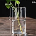 Miniatyrbild 3 av 3: Klar Glasvas Blomvas Minimalistisk Glasvas Cylinderformad Blomvas för Bröllop Vardagsrum Dekorativ Gåva 6.5x12cm