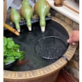 Miniatyrbillede 3 af 4: Sort jernplanter - hængende planter hængende planter hængende plan