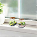 Miniatyrbillede 3 af 4: 2 stk. Forseglede Klare Terrarium Glasflasker Mikrolandskab Glas Krukke Sfærisk Økologisk Flaske