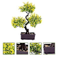 Miniatyrbillede 2 af 3: Kunstige potteplanter, bordplade, falske potteplanter, bonsai ornament til hjemmet