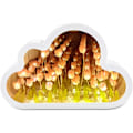Miniatyrbillede 1 af 5: 1 stk. Pink LED Cloud Lampe Tulipan Lampe, Clouds Tulipan Natlampe med