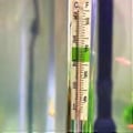 Miniatyrbillede 4 af 5: Internt Akvarium Letlæseligt Sugekop Termometer Stick Akvarietermometer Termograf Nøjagtigt Termometer Gul Yellow