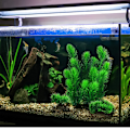 Miniatyrbilde 5 av 5: Akvariedekorasjonsplanter, 13 stk. plastakvarieplanter