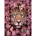 Pikkukuva 1 / 5: 30x40cm 5D DIY timanttimaalaus täydellinen, E#Série Animaux, DIY timantti