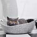 Miniatyrbilde 2 av 5: Katteseng Kattekurv Kattesofa Hundeseng Kattehule for alle katter og sma