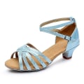 Miniatyrbillede 1 af 4: Dame Latin Sko Dansesko Scene Indendørs Chacha Basic Hæl Øvelse Lav Hæl Navy Tan Sort-happygo.28.Blå Blue 28