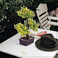 Miniatyrbillede 3 af 3: Kunstige potteplanter, bordplade, falske potteplanter, bonsai ornament til hjemmet